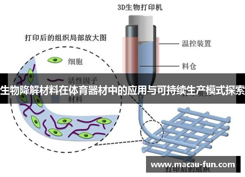 生物降解材料在体育器材中的应用与可持续生产模式探索
